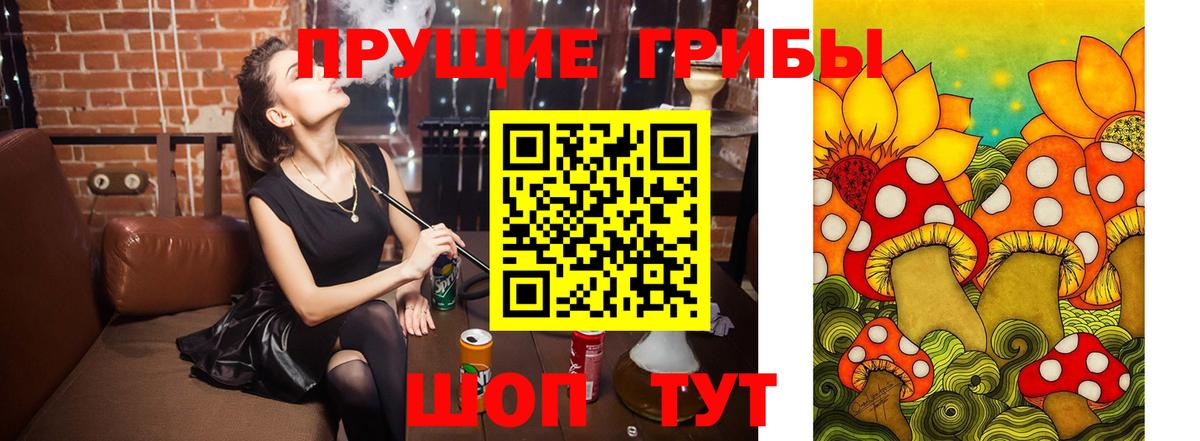 Галлюциногенные грибы Psilocybine cubensis  Вход с VPN  Трёхгорный 