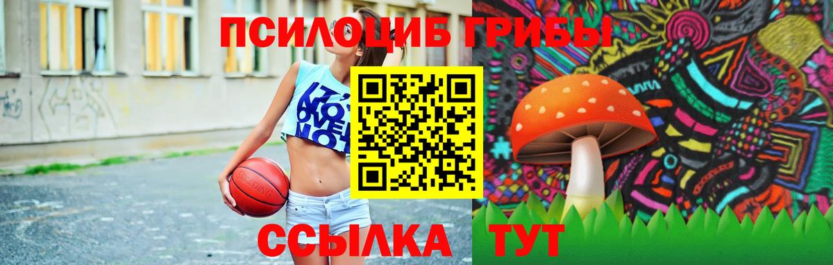 Псилоцибиновые грибы Psilocybine cubensis Трёхгорный